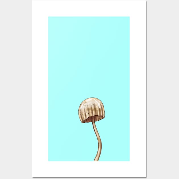 Mushroom Master Toadtool Wall Art by Mushroom Master